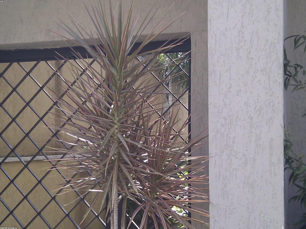 ការធានាប្រាក់: អ្វីដែលអ្នកត្រូវដឹង